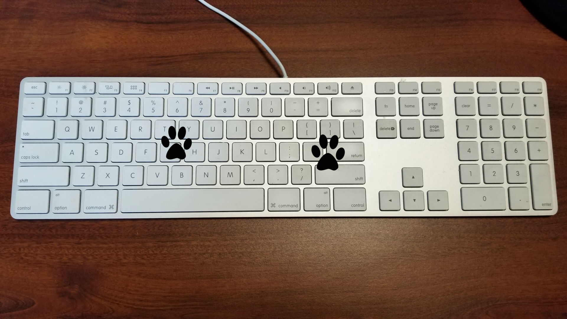 PawSense